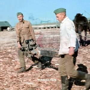 German soldiers cutting wood for bridge construction with petrol chainsaw. Crimea Krim. 6th Infantry Division Wehrmacht