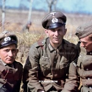 German soldiers of Kavallerie Schutzen Regiment 6. Russia 1942 Traditionsabzeichen Schwedter Adler. Kradschutzen-Bataillon 3