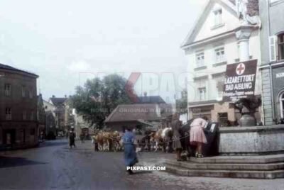 German women reading missing persons list in Market Square Bad Aibling Bavaria Germany 1945. 101st Cavalry Regiment.