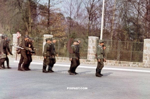 Germany Mg34 teams of the Kavallerie Schutzen Regiment 6. Russia 1942. Traditionsabzeichen Schwedter Adler. cuff title.