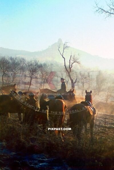 Germany army cavalry soldiers training in the early foggy morning. Forest beside Dresden 1940 Germany.