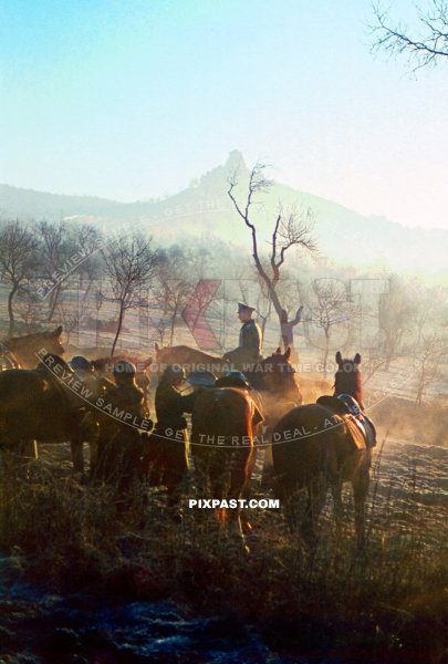 Germany army cavalry soldiers training in the early foggy morning. Forest beside Dresden 1940 Germany.