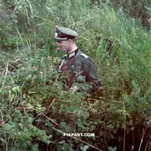 Germany army officer in uniform walk through field, Summer 1941, Iron cross ribbon on jacket, leather belt, flowers.