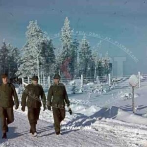 Hugo Krause 134th Gebirgsjaeger Division, Finland 1944