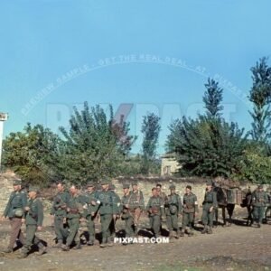 Invasion of Greece 1941. 304 Schutzen Regiment. 2nd Panzer Division. Army Infantry. Gebirgsjager