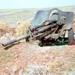 Knocked out Soviet Russian 76mm Field gun artillery. Near Stalingrad summer 1942. 297, Infantry, Division