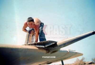 Loading ammunition into a Spitfire Mk V (trop) WZ-J JL237. 309th Fighter Squadron of the 31st Fighter Group. Sicily 1943.