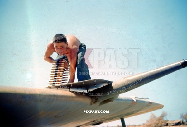 Loading ammunition into a Spitfire Mk V (trop) WZ-J JL237. 309th Fighter Squadron of the 31st Fighter Group. Sicily 1943.