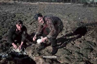 Luftwaffe Flak Bordeaux France 1941 Flak Regiments 45, 1. Batterie gemischte Flak Abteilung 923, Feldpost L.35139, killing chicken