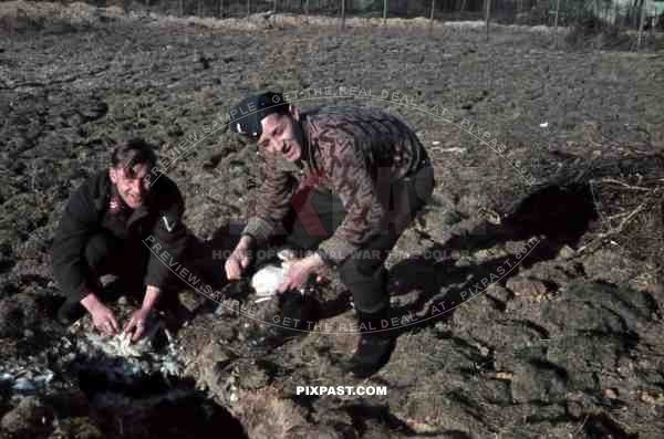 Luftwaffe Flak Bordeaux France 1941 Flak Regiments 45, 1. Batterie gemischte Flak Abteilung 923, Feldpost L.35139, killing chicken