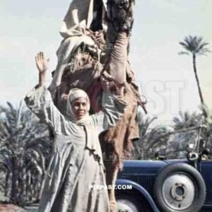 Man on a camel in Alexandria, Egypt 1939