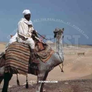 Man on a camel in Giza, Egypt 1939