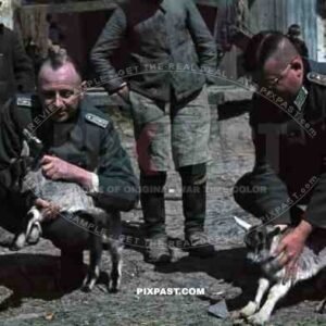 Medical Ambulance Unit, Heavy Artillery Abteilung (Battalion) 711 (motorized), Russian Front, 1942, Army Group Centre