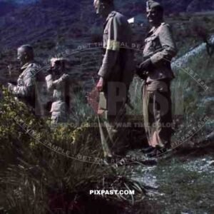 Officer Bindewald Luftwaffe, fliegergruppe 2 in sicily, flare gun trainning tropical