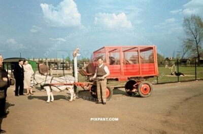 Red Sea lion transport wagon in Berlin Zoo June 1939