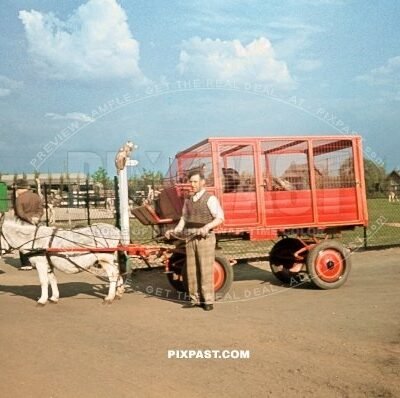 Red Sea lion transport wagon in Berlin Zoo June 1939