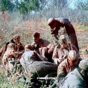 Russian Soviet POW soldiers taken prisoner near Stalingrad 1942. 297 Infantry Division