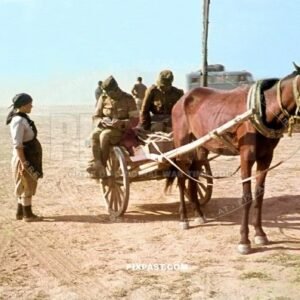 Russian military translator with white Wehrmacht Dienst arm band helping translating between soldier and Russian farmer