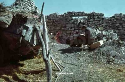 Sd. Kfz. 221 Reconnaissance Armoured Car, Krim, Crimea, 1942