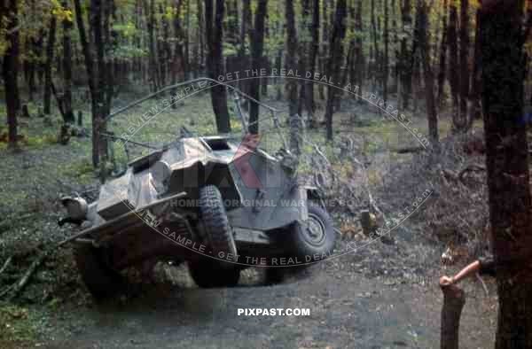 Sd. Kfz. 223 Reconnaissance Armoured Car,  Krim, Crimea 1942