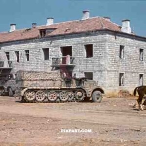 Sdkfz9 FAMO 18 ton halftrack, Krim, Crimea, Kretsch, 1942, 22nd Panzer Division, 204th Panzer Regiment, camo,