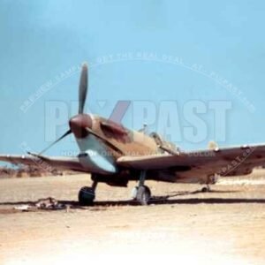 Spitfire Mk V (trop) WZ-J JL237. Gentleman Jim. 309th Fighter Squadron of the 31st Fighter Group USAAF. Sicily 1943.