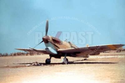 Spitfire Mk V (trop) WZ-J JL237. Gentleman Jim. 309th Fighter Squadron of the 31st Fighter Group USAAF. Sicily 1943.