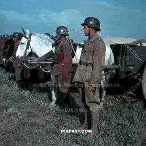 Tunisian Volunteers Parade for Erwin Rommel in Tunisia 1943. Freiwilligenbataillon Tunesien.