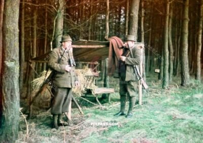 Two heavy German hunters with their hunting rifle with sniper scope in forest. Saxony Germany 1939