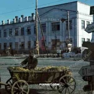 Ukrainian farmer in horse wagon in front of High School in Ochtyrka, Ukraine, Winter 1941. 94. Infantry Division,