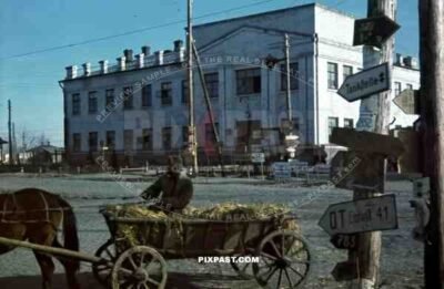 Ukrainian farmer in horse wagon in front of High School in Ochtyrka, Ukraine, Winter 1941. 94. Infantry Division,