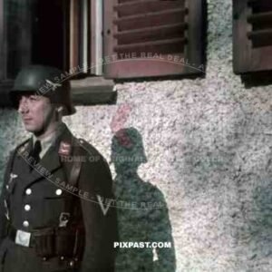 Vienna Austria 1940 Luftwaffe Flak officer helmet portrait awards medals ammunition belt