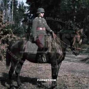 WW2 color 1940 Belgium wehrmacht officer awards medals horse cavalry forest portrait 207 Infantry Division Major Scheer helmet