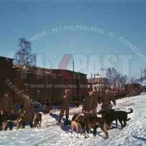 WW2 color Finland 1945 German Wehrmacht dog security train group locomotive station Hundestaffel