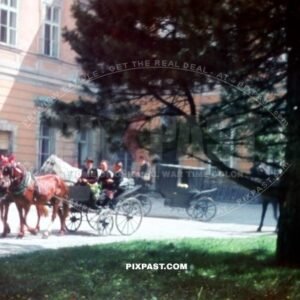 Wedding groom in his Horse Carriage in front of the Amtsgericht Meersburg on Boden See. Germany 1940. Baden Wurttemberg