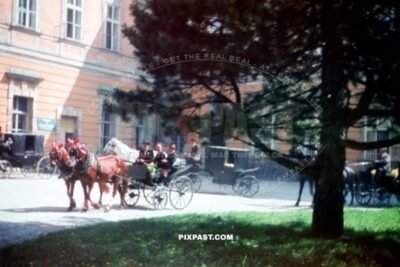 Wedding groom in his Horse Carriage in front of the Amtsgericht Meersburg on Boden See. Germany 1940. Baden Wurttemberg