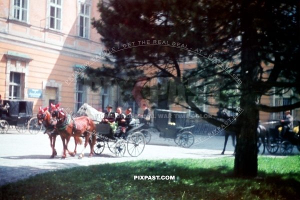 Wedding groom in his Horse Carriage in front of the Amtsgericht Meersburg on Boden See. Germany 1940. Baden Wurttemberg