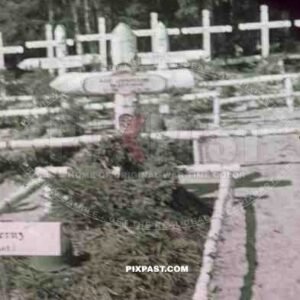 Wehrmacht graves in Luga, Russia ~1942