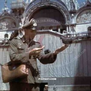 Wehrmacht soldier feeding pigeons in Venice, Italy 1943