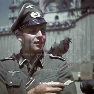 Wehrmacht soldier feeding pigeons in Venice, Italy 1943