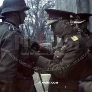 Wehrmacht soldiers being awarded in Jalta, Ukraine ~1942, Marshal Ion Antonescu,