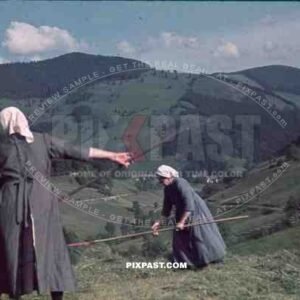 Women cutting grass in Germany 1939