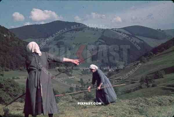 Women cutting grass in Germany 1939