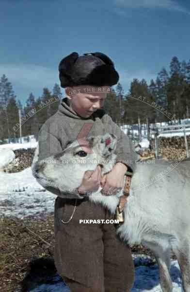 boy with caribou calf, Finland 1944