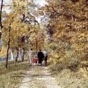 family going for a walk in the forest, Germany