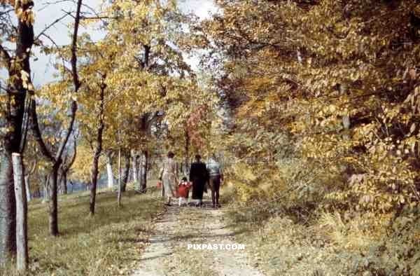 family going for a walk in the forest, Germany