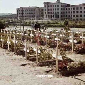 german war graves in Minsk, Belarus, Russia 1941 by Franz Krieger