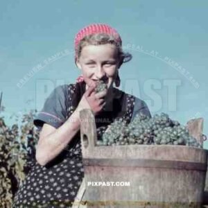 girl tasting grapes on vineyard in Baden-Wuerttemberg, Germany ~1938