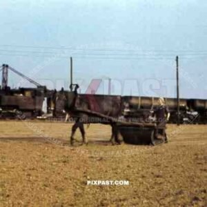 horse drawn roller and coal train in Weisweiler, Germany ~1938