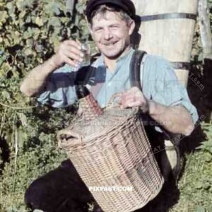 man drinking some wine on vineyard in Baden-Wuerttemberg, Germany ~1938